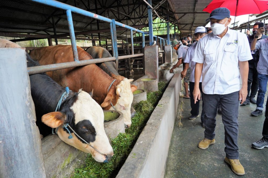 Integrated Farming Perkuat Korporatisasi Petani - menkop teten - www.indopos.co.id