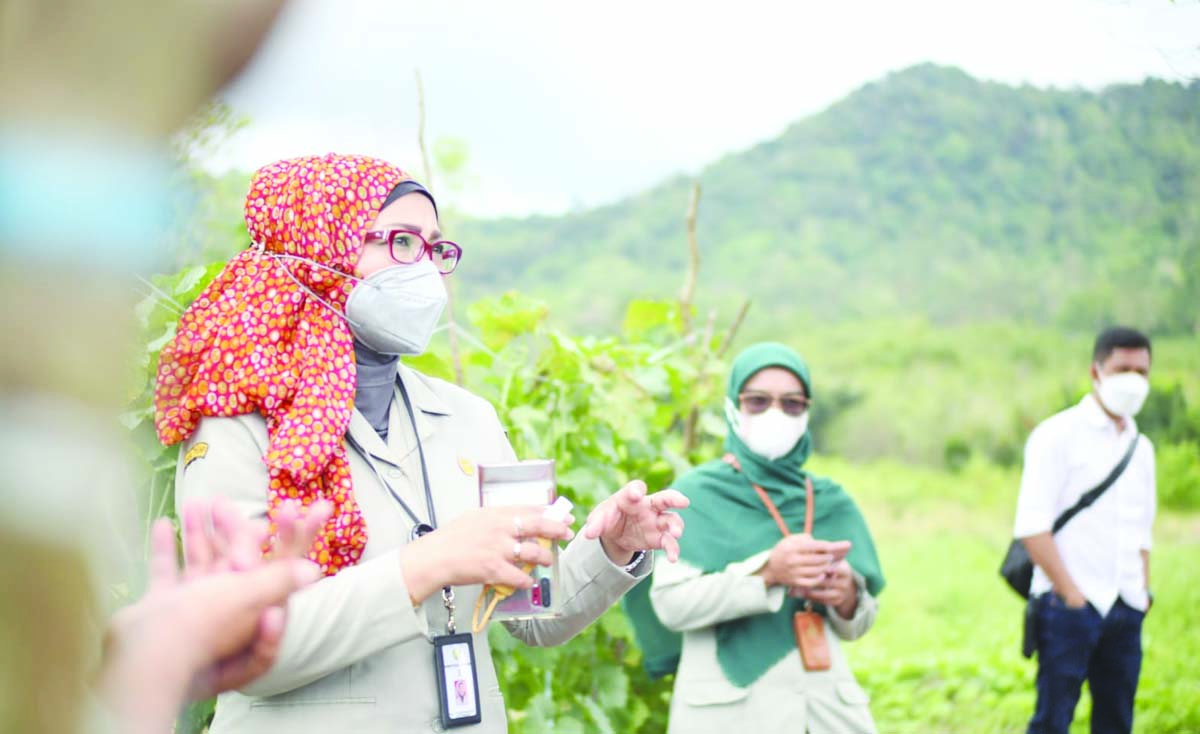 Kementan Targetkan Cetak 2,5 Juta Petani Milenial Hingga 2024 - Www ...