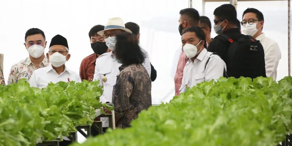 Pj Gubernur Banten Dampingi Wapres Meninjau PT Singapura Fresh Green Makmur - muktabar dampingin wapres - www.indopos.co.id