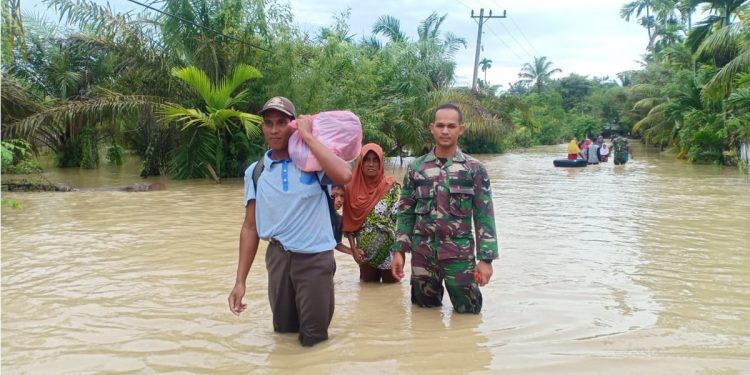 Lima wilayah di Kabupaten Aceh Utara terendam banjir. (Dok BNPB)