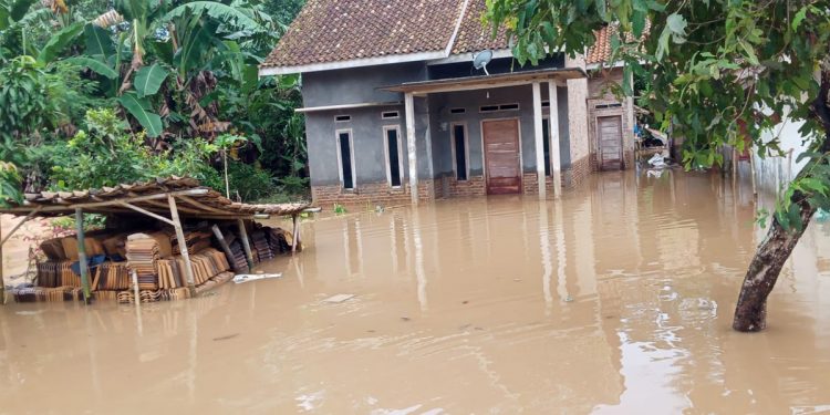 Banjir merendam Desa Sukamaju, Kecamatan Sidomulyo, Kabupaten Lampung Selatan. Dok: BNPB