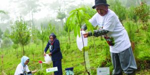 Lingkungan Lebih Hijau dan Malah Jadi Cuan, Nasabah Ungkap Manfaat ‘BRI Menanam’ - bri2 1 - www.indopos.co.id