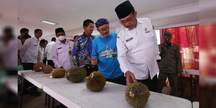 Festival Durian digelar Dinas Pertanian Provinsi Banten untuk memperkenalkan durian lokal Banten. Foto: Dok Indopos.co.id