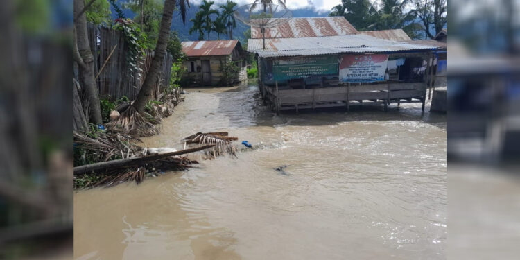 Banjir merendam tujuh desa di Kabupaten Aceh Tenggara. (Dok BNPB)