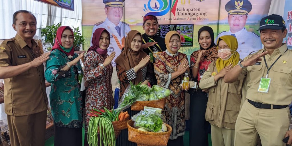Pemuda Asal Tulungagung Jatim Buktikan Bisa Sukses Beternak Sapi - bazar pangan tulungagung - www.indopos.co.id