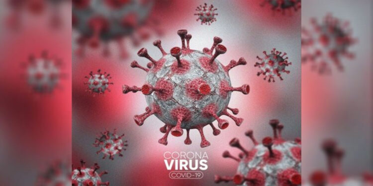 Ilustrasi virus Corona penyebab Covid-19. Foto: Freepik