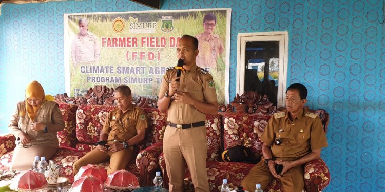 Dinas Tanaman Pangan dan Hortikultura Kabupaten Pinrang menggelar kegiatan Temu Lapang Petani atau Farmer Field Day (FFD). (Dok Kementan)