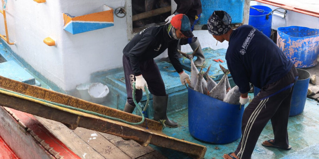 Akses Dana Bergulir Sejak 2013, KUD Mino Saroyo Rasakan Manfaat Bermitra dengan LPDB-KUMKM - nelayan ikan - www.indopos.co.id