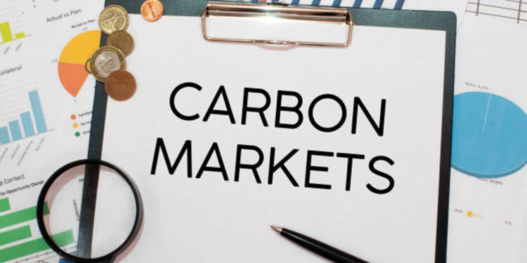 Ilustrasi - Pasar karbon. Foto: pixabay