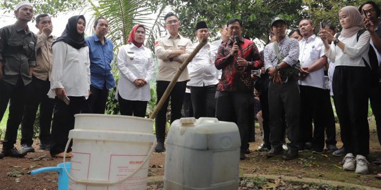 Bupati Serang Ratu Tatu Chasanah didampingi mantan Wakil Gubernur Andika Hazrumy meninjau lokasi   pembibitan kedelai. (Humas Pemkab Serang)