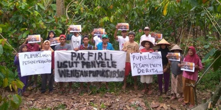 Sejumlah petani kakao di Kabupaten Luwu Timur, Provinsi Sulawesi Selatan, meminta Ketua Komisi Pemberantasan Korupsi (KPK) Firli Bahuri untuk menelisik potensi penyelewengan tata kelola pupuk bersubsidi. Foto: Istimewa