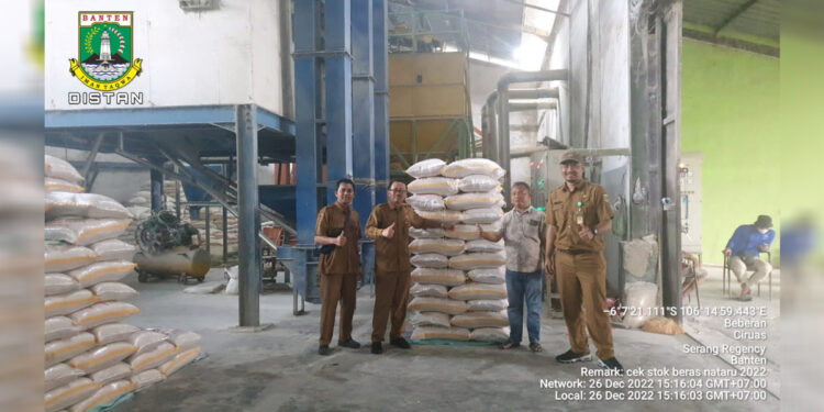 Provinsi Banten sebagai sentra produksi beras ke 8 nasional siap memasok kebutuhan beras nasional Jakarta dan provinsi lain. Foto: dok indopos.co.id
