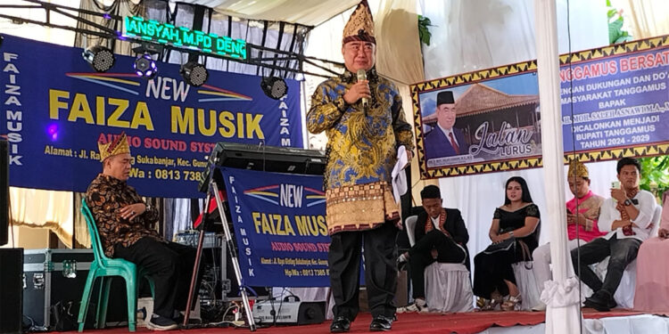 Kader Partai NasDem Tangerang Selatan, H Mohamad Saleh Asnawi. (Ist)