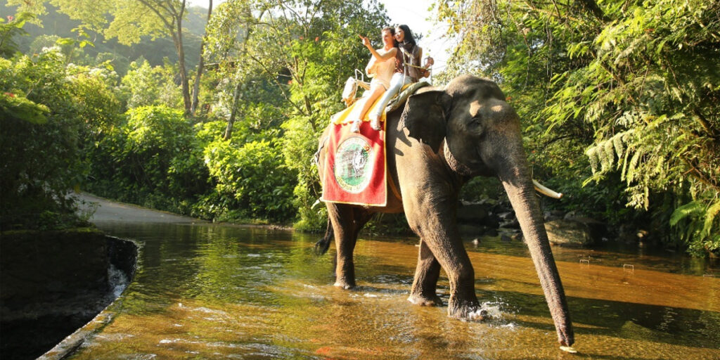 Taman Safari Bogor Kembali Banjir Promo, Sedia Tiket Sultan Spesial Imlek 2023 - gajah taman safari - www.indopos.co.id