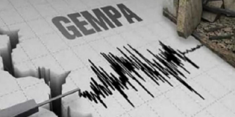 Ilustrasi gempa bumi. Foto: Dokumen BMKG