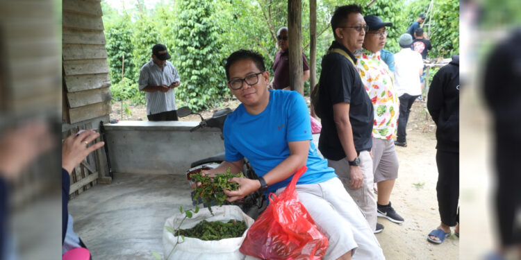 Meninjau perkebunan lada di Kabupaten Belitung. Foto: Kementan for INDOPOS.CO.ID