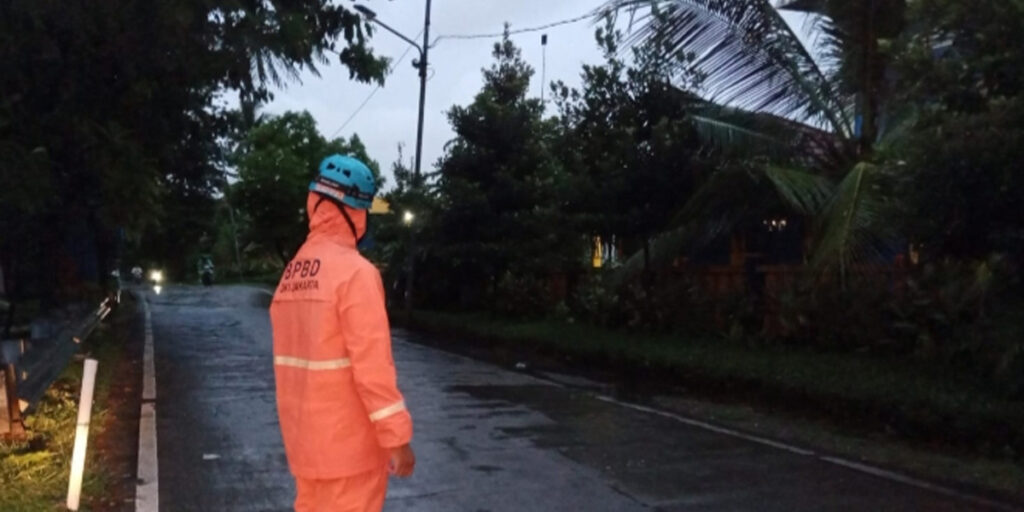 Pasca Hujan Lebat, BPBD: Ada 8 Titik Lokasi Pohon Tumbang di Jakarta - bpbd dki evakuasi - www.indopos.co.id