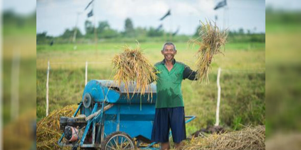 Food Estate Kalteng Diperkuat Kelembagaan dan Hilirisasi Pertanian - petani - www.indopos.co.id