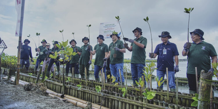 Ribuan mangrove ditanam BNI Asset Management bersama BNI sebagai wujud kepedulian terhadap lingkungan serta membangun awareness untuk berinvestasi di produk Reksa Dana berbasis pelestarian lingkungan. Foto: Dokumen BNI