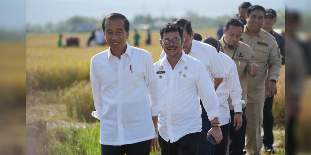 Presiden bersama Mentan Panen Raya di Maros, Sulsel - jokowi mentan - www.indopos.co.id