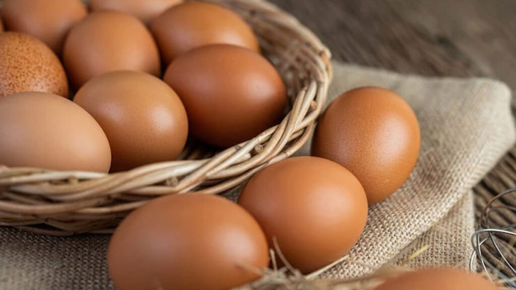 Telur-Ayam-2