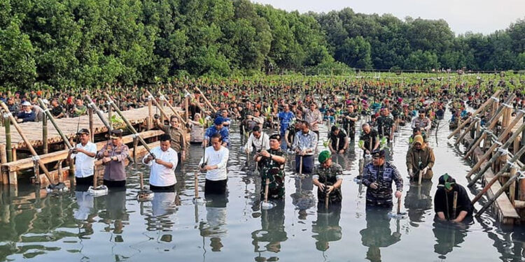 KSAD Jenderal Dudung dampingi Presiden Jokowi pada acara puncak penanaman mangrove nasional di Jakarta. (Dok Dispenad)
