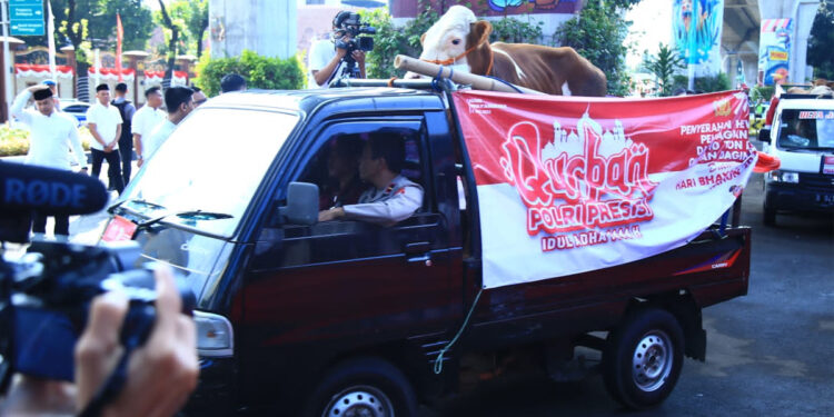 Ribuan hewan kurban Idul Adha 1444 Hijriah dari Polri bakal didistribusikan ke seluruh wilayah Indonesia. Foto: Dok. Polri