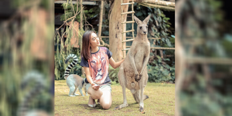 Pengunjung foto bersama Kanguru Australia di Baby Zoo Taman Safari Bogor. Foto: Dok. Taman Safari Bogor