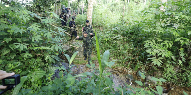 Badan Narkotika Nasional (BNN) kembali melakukan dibantu musnahkan ladang ganja di Sumatera Utara. (Dok BNN)
