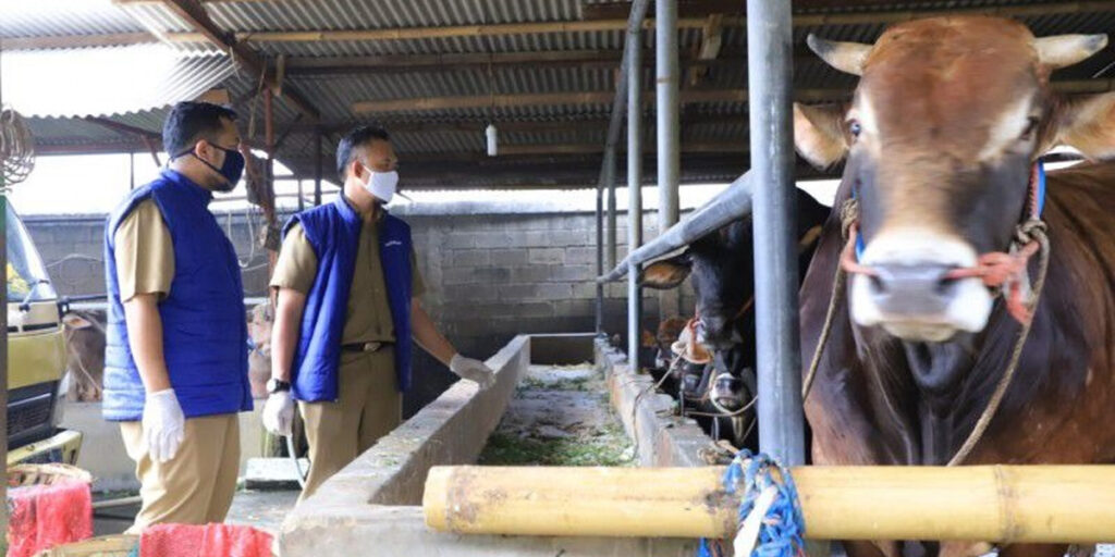 Antisipasi Penyebaran Virus Antraks, Pemkot Tangerang Perketat Masuknya Hewan Ternak - hewan ternak - www.indopos.co.id