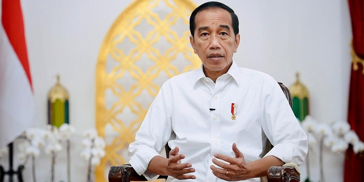 Utus Menteri Investasi, DPD RI: Jokowi Harus Tengahi Langsung Konflik di Rempang - jokowi 2 - www.indopos.co.id
