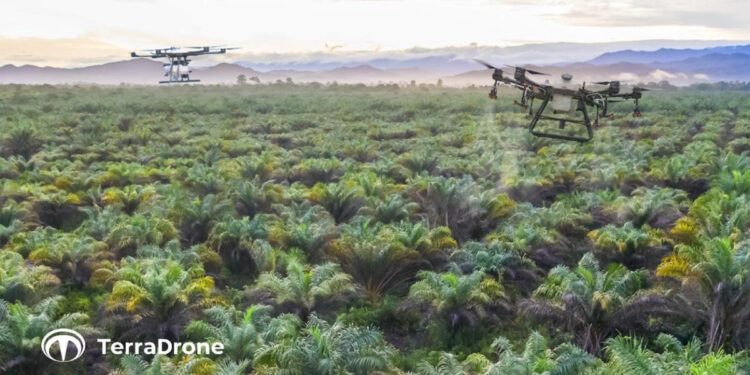 Terra Drone Corporation perluas penetrasi ke dalam sektor pertanian presisi dengan mengakuisisi bisnis Avirtech. Foto: Dok. Terra Drone
