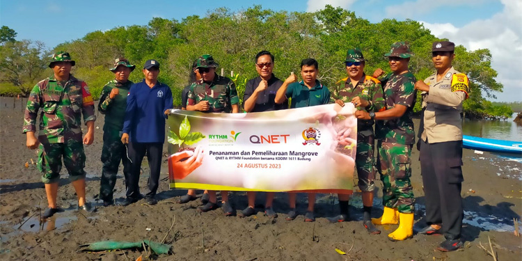 QNET dan Kodim 1611 Badung Lanjutkan Upaya Pelestarian Hutan Mangrove di Bali - qnet - www.indopos.co.id