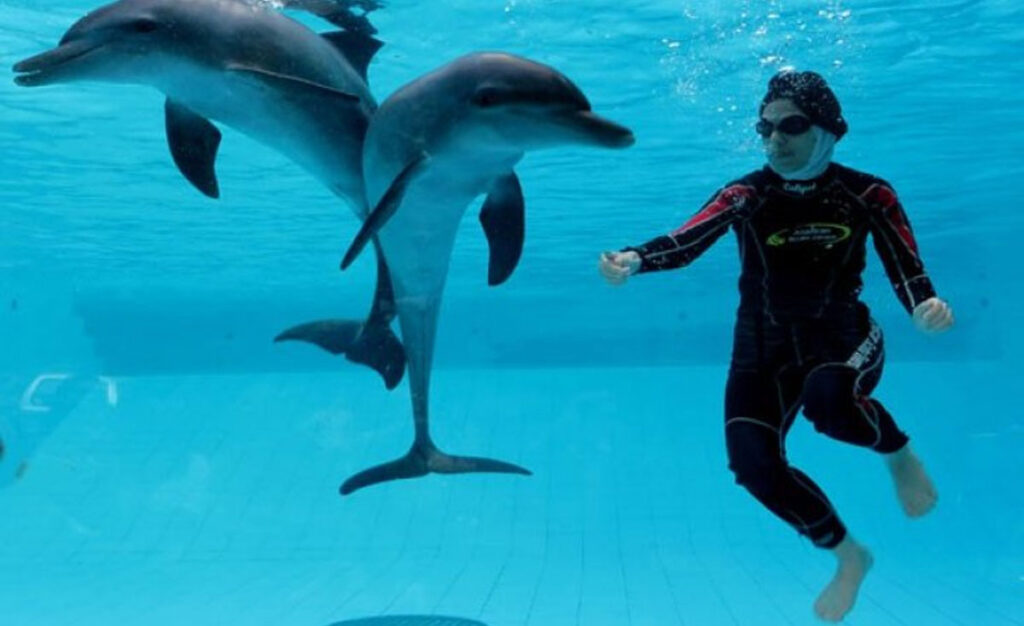 Swimming-With-Dolphin