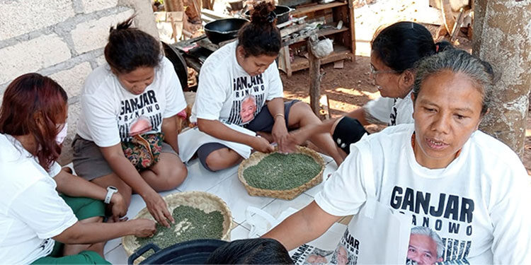 Kelompok Mak Ganjar menggelar kegiatan pengelolahan kacang ijo bareng ibu-ibu yang berada di Desa Baumata, Kecamatab Taebenu, Kabupaten Kupang, Nusa Tenggara Timur. Foto: Istimewa