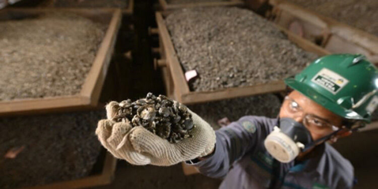 Ilustrasi - Pekerja memperlihatkan bijih nikel yang siap diolah produk feronikel. Foto: Dokumen Antam