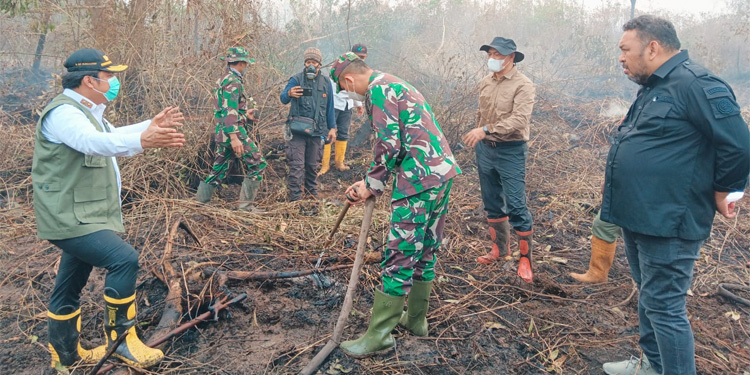 Selamatkan Sawit, Kementan Terjun Padamkan Kebakaran Lahan di Kalsel - kementan 2 - www.indopos.co.id