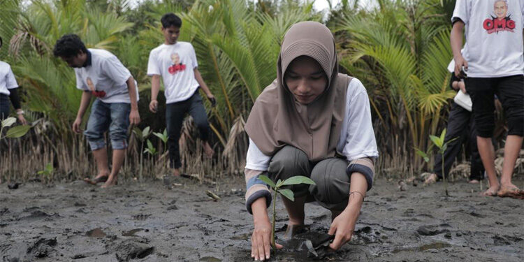 Sukarelawan Orang Muda Ganjar (OMG) Sumatera Barat melakukan kegiatan penanaman bibit mangrove di Talao Apar Pantai Penyu, Sumatera Barat, Minggu (19/11/2023). Foto: Dok. Relawan Ganjar