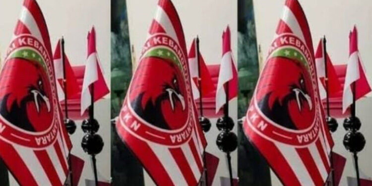Bendera Partai Kebangkitan Nusantara (PKN). (Dok PKN)