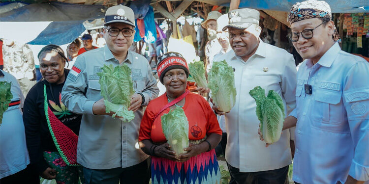 Wakil Menteri Pertanian (Wamentan), Harvick Hasnul Qolbi melakukan inspeksi mendadak (sidak) di Pasar Wosi Kabupaten Manokwari, Papua Barat, pada Sabtu (2/12/2023). Foto: Humas Kementan