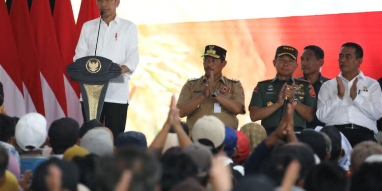 Jokowi-5