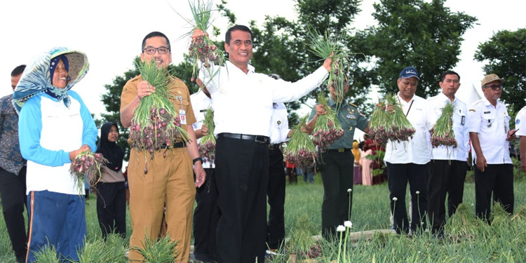 Menteri Pertanian (Mentan) Andi Amran Sulaiman menghadiri panen raya bawang merah di Kabupaten Brebes, Jawa Tengah, Rabu (3/1/2024). (Dok. Kementan)