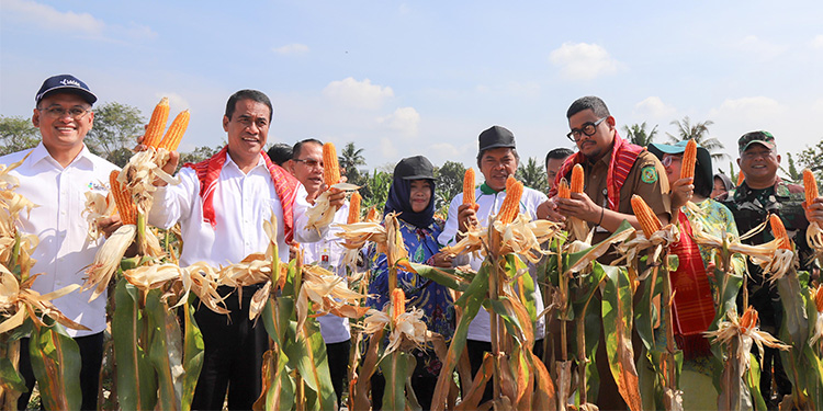 Mentan Andi Amran Sulaiman hadir pada acara Bimbingan Teknis dan Pembinaan Penyuluh, Peternak, Perkebun dan Pengurus Kelompok Tani Wilayah Sumatera Utara. Foto: Dok Kementan