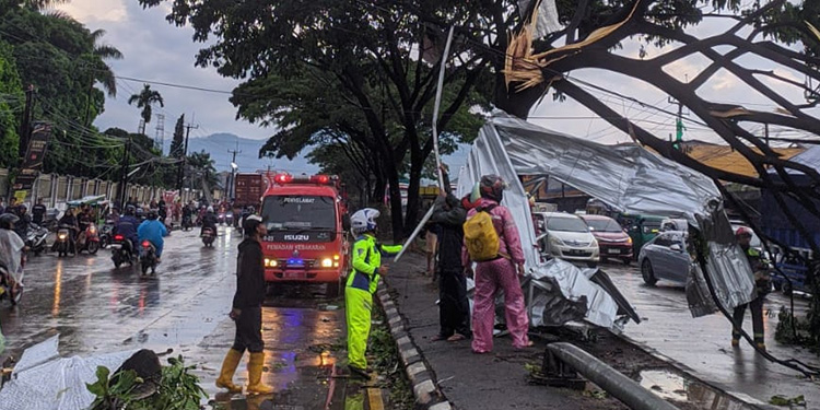 Pohon tumbang akibat bencana angin puting beliung yang menghantam kawasan Kabupaten Sumedang dan Kabupaten Bandung di Provinsi Jawa Barat. Foto: Dokumen BPBD Sumedang