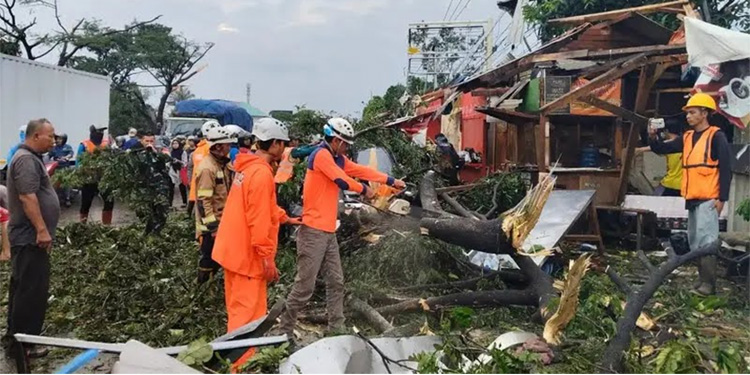 Personel BPBD Kab Bandung saat membersihkan pohon tumbang imbas angin puting beliung. (BPBD Kab Bandung)