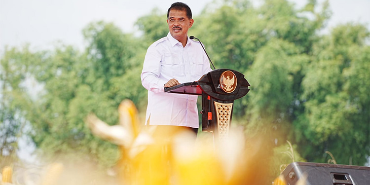 Dirjen Tanaman Pangan Kementan, Suwandi menghadiri kegiatan panen jagung di Desa Nimbang, Kecamatan Palang, Kabupaten Tuban, Jatim, Selasa (19/3/2024). Foto: Dok. Kementan