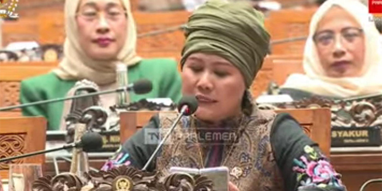 Anggota DPR RI Luluk Luluk Nur Hamidah. (Tangkapan layar TV Parlemen)