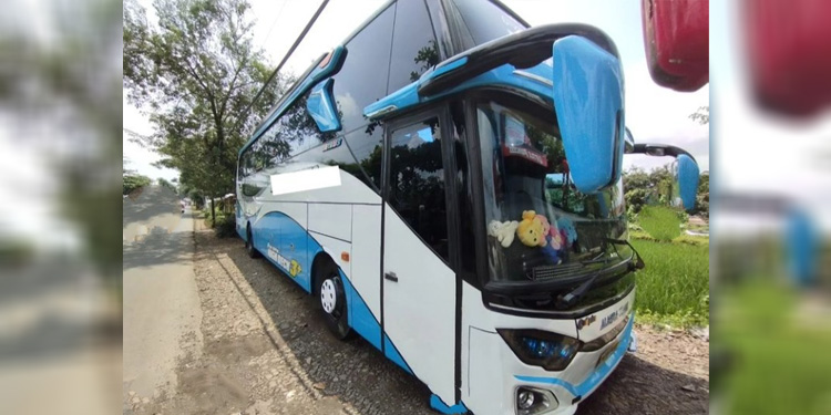 Bus wisata di Jawa Tengah. Foto: Instagram/@ranselwisata