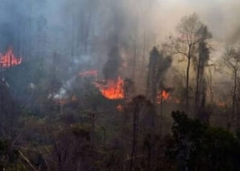 Bencana kebakaran hutan dan lahan (Karhutla). (dokumen INDOPOS.CO.ID)