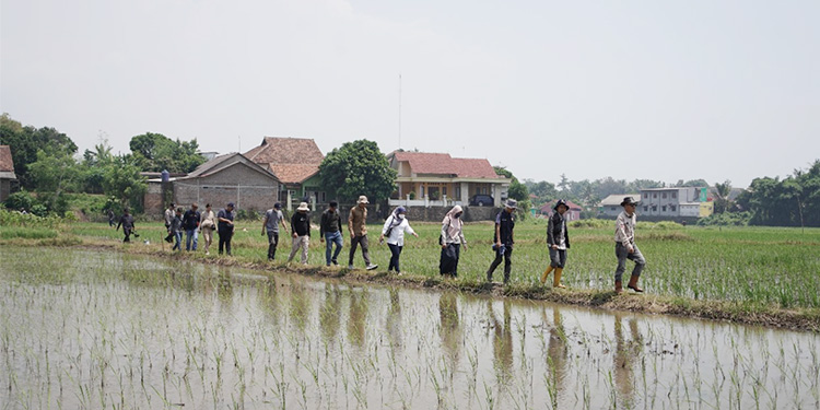 Pemprov Banten mengonfirmasi adanya penambahan pupuk bersubsidi hingga 114 persen. Foto: Dok. Kementan